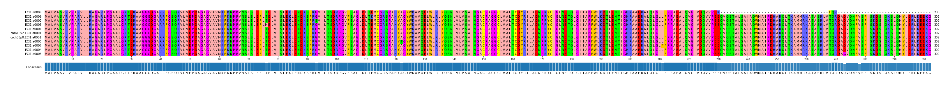 Multiple Alignments (by translate haplotype similarity)