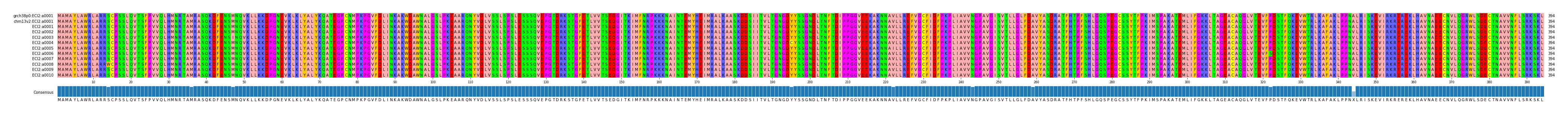Multiple Alignments (by translate haplotype frequency)