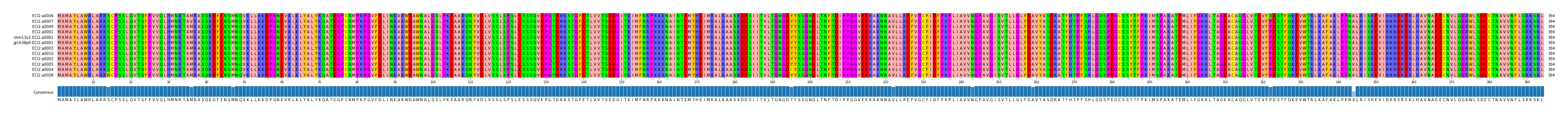 Multiple Alignments (by translate haplotype similarity)