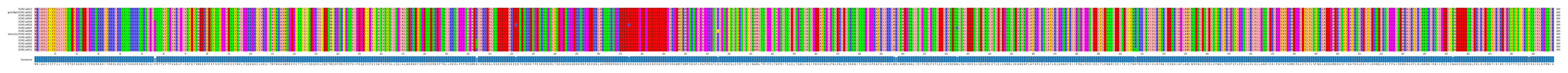 Multiple Alignments (by translate haplotype similarity)
