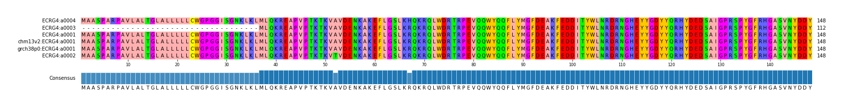 Multiple Alignments (by translate haplotype similarity)