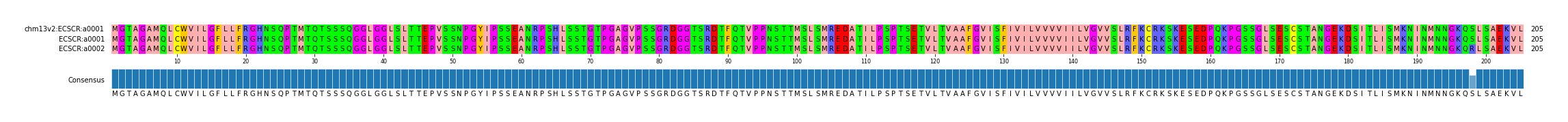 Multiple Alignments (by translate haplotype similarity)