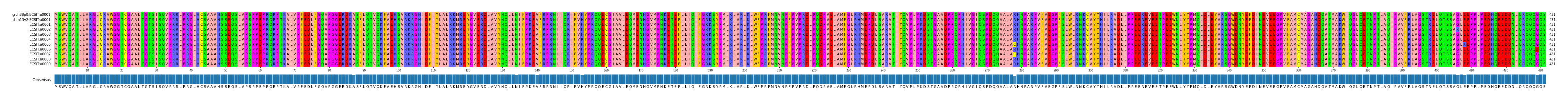 Multiple Alignments (by translate haplotype frequency)