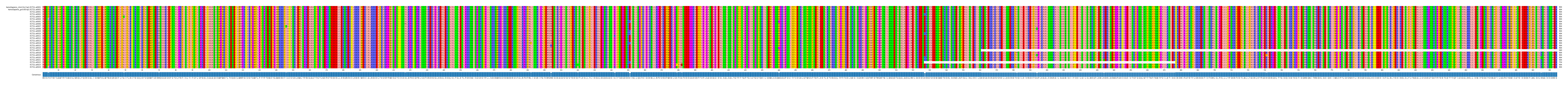 Multiple Alignments (by translate haplotype frequency)