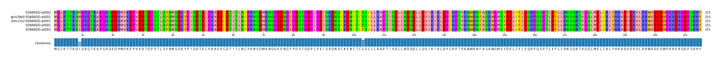 Multiple Alignments (by translate haplotype similarity)