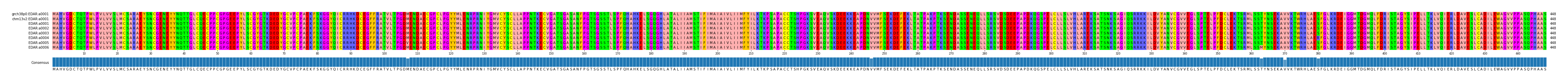 Multiple Alignments (by translate haplotype frequency)