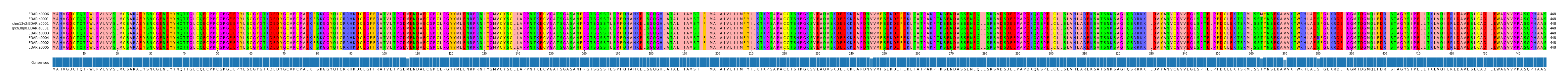 Multiple Alignments (by translate haplotype similarity)