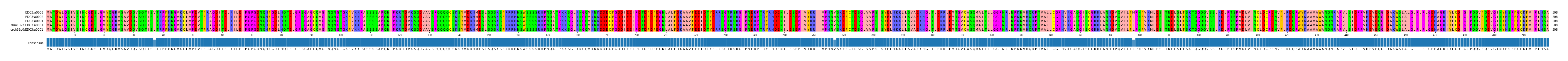 Multiple Alignments (by translate haplotype similarity)