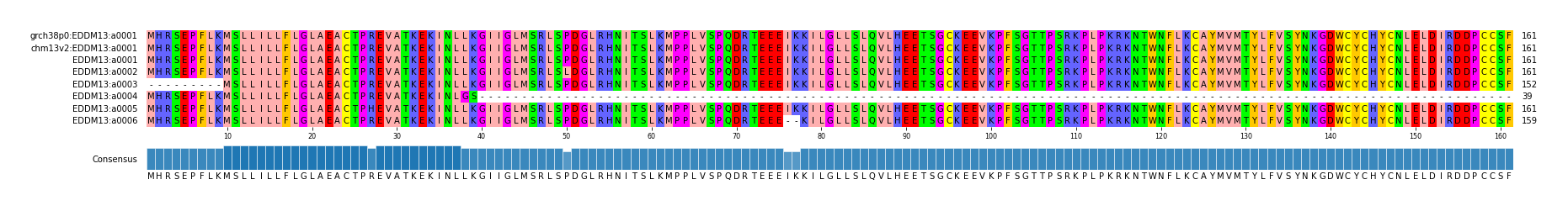 Multiple Alignments (by translate haplotype frequency)