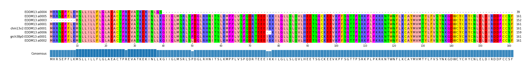 Multiple Alignments (by translate haplotype similarity)