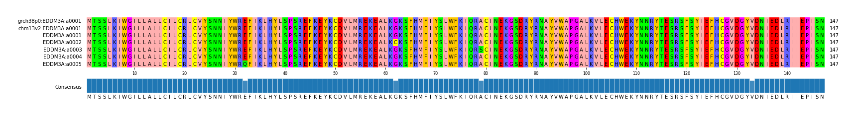 Multiple Alignments (by translate haplotype frequency)