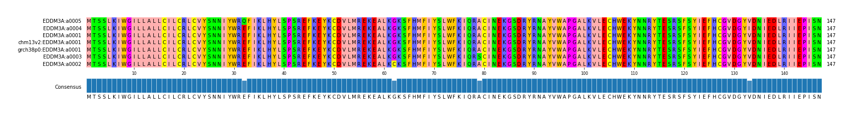 Multiple Alignments (by translate haplotype similarity)