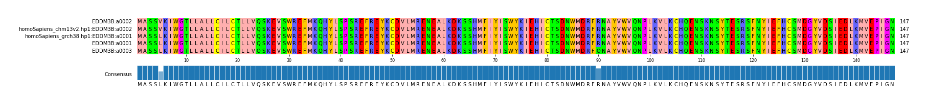 Multiple Alignments (by translate haplotype similarity)