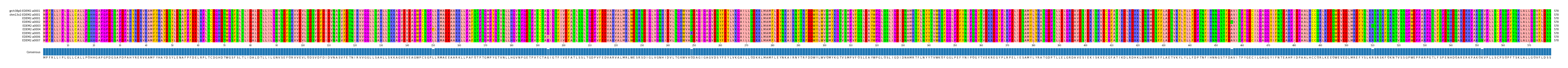 Multiple Alignments (by translate haplotype frequency)