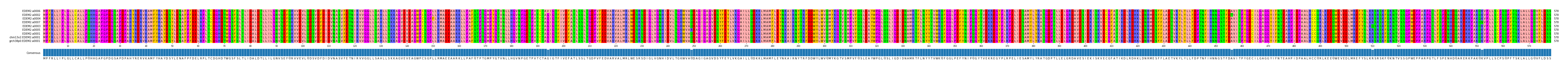 Multiple Alignments (by translate haplotype similarity)