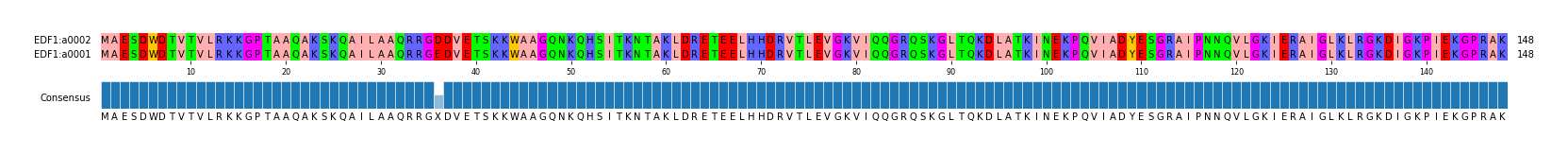 Multiple Alignments (by translate haplotype similarity)