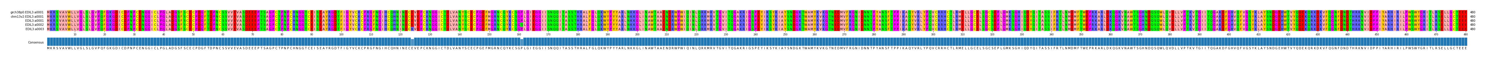Multiple Alignments (by translate haplotype frequency)