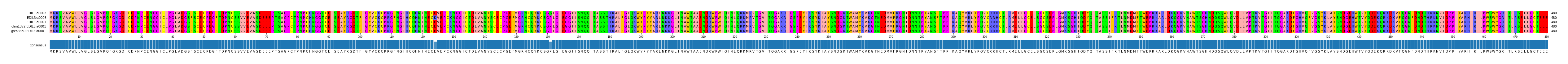 Multiple Alignments (by translate haplotype similarity)