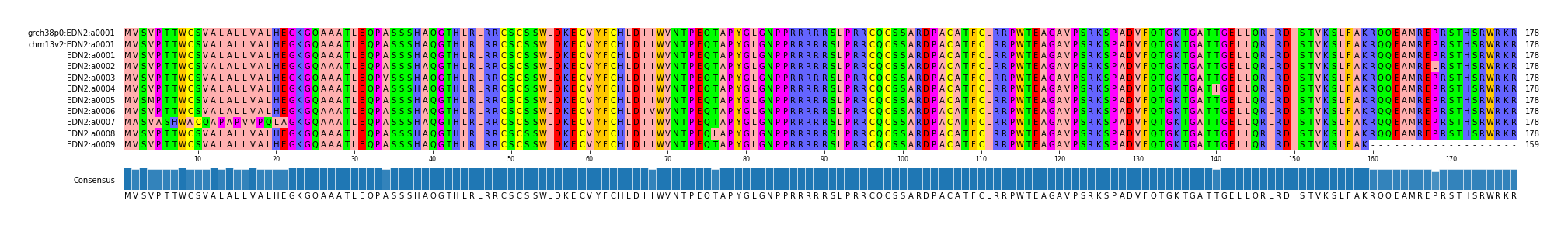Multiple Alignments (by translate haplotype frequency)