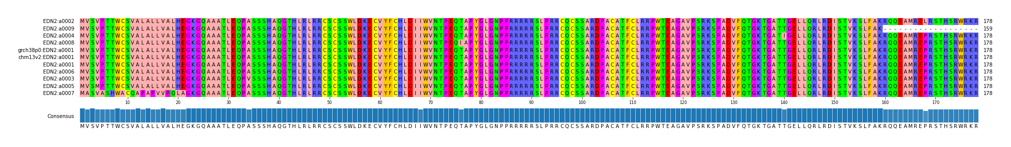 Multiple Alignments (by translate haplotype similarity)