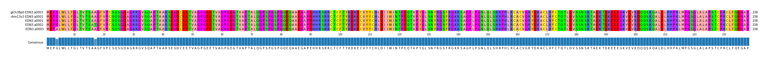 Multiple Alignments (by translate haplotype frequency)