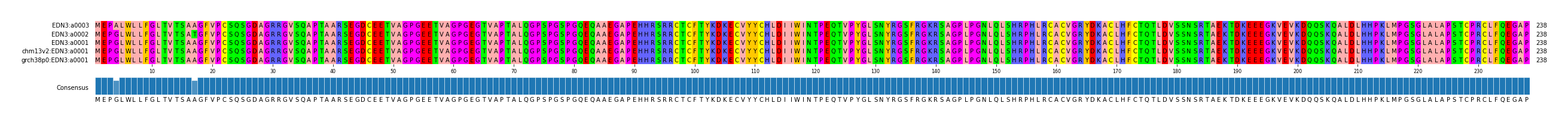 Multiple Alignments (by translate haplotype similarity)