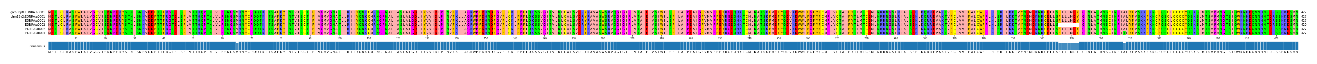Multiple Alignments (by translate haplotype frequency)