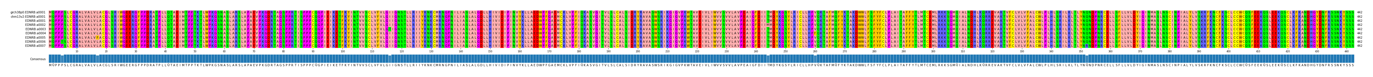 Multiple Alignments (by translate haplotype frequency)