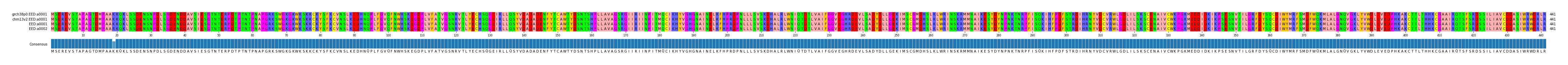 Multiple Alignments (by translate haplotype similarity)