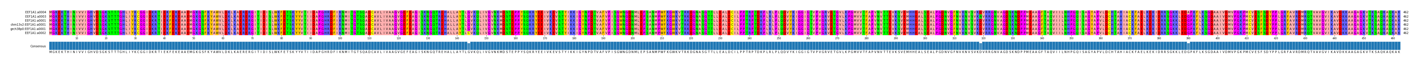 Multiple Alignments (by translate haplotype similarity)