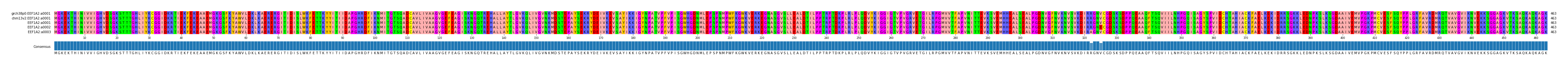 Multiple Alignments (by translate haplotype frequency)