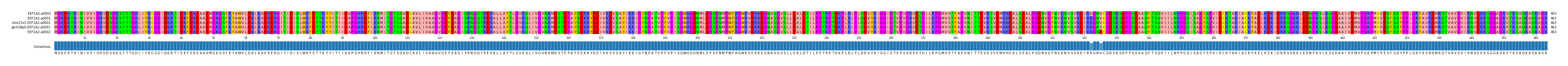 Multiple Alignments (by translate haplotype similarity)