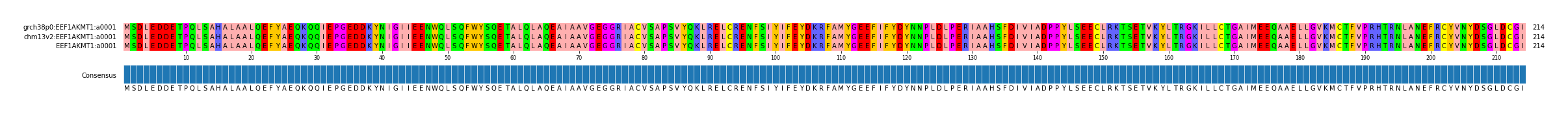 Multiple Alignments (by translate haplotype similarity)