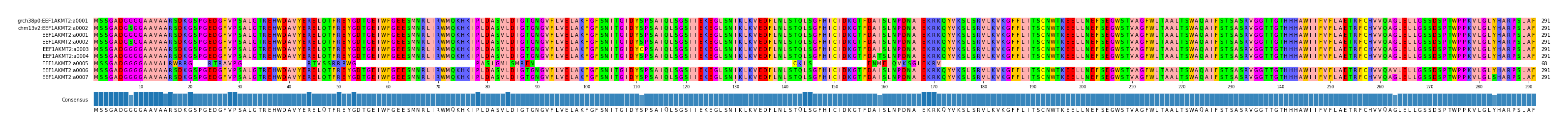 Multiple Alignments (by translate haplotype frequency)