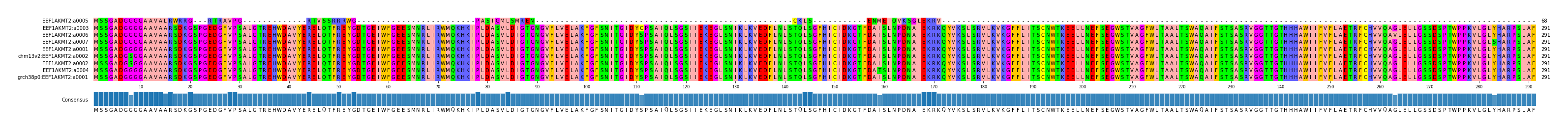 Multiple Alignments (by translate haplotype similarity)