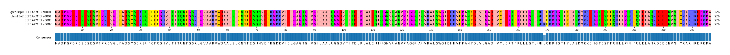 Multiple Alignments (by translate haplotype similarity)