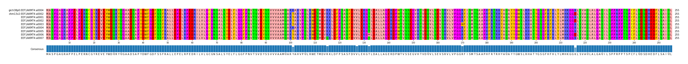 Multiple Alignments (by translate haplotype frequency)