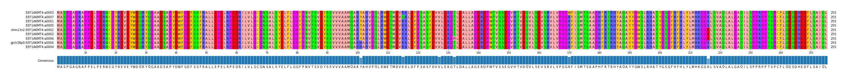Multiple Alignments (by translate haplotype similarity)
