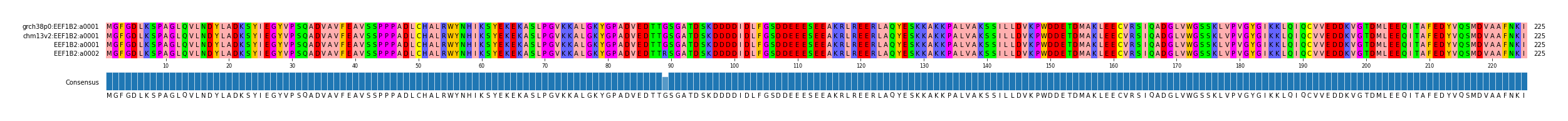 Multiple Alignments (by translate haplotype similarity)