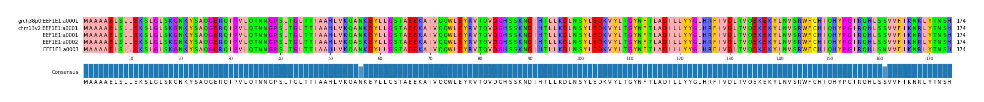 Multiple Alignments (by translate haplotype frequency)