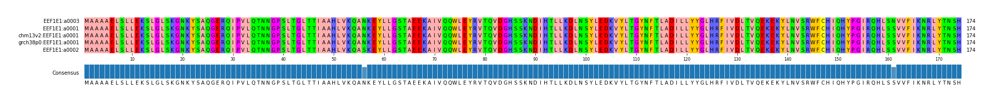Multiple Alignments (by translate haplotype similarity)
