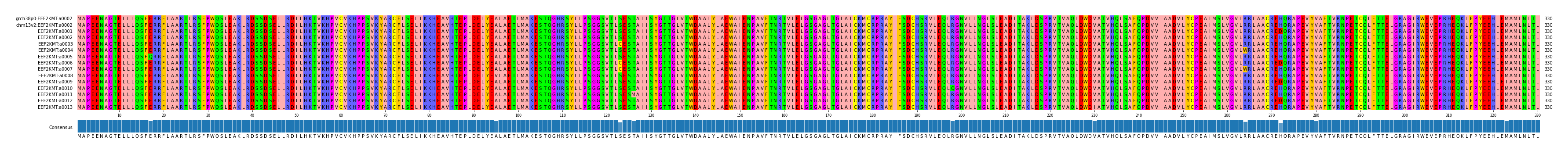 Multiple Alignments (by translate haplotype frequency)