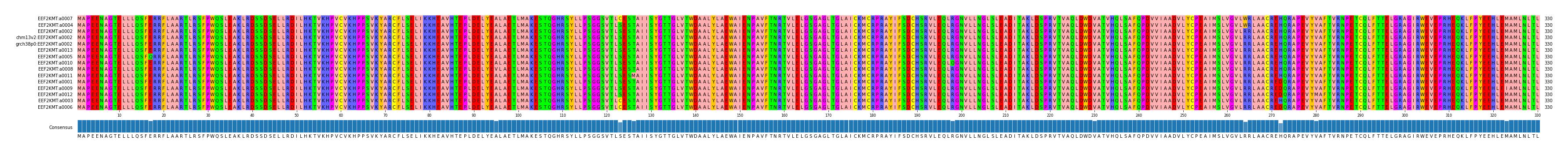 Multiple Alignments (by translate haplotype similarity)