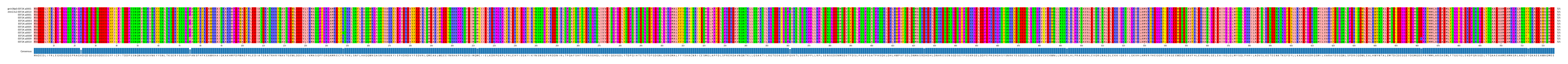 Multiple Alignments (by translate haplotype frequency)