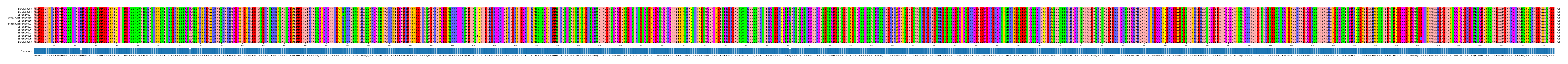 Multiple Alignments (by translate haplotype similarity)