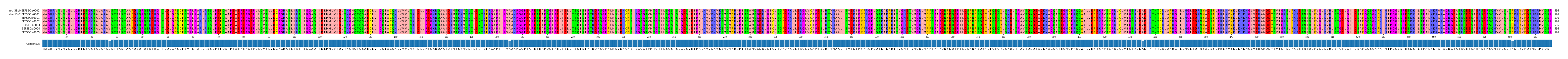 Multiple Alignments (by translate haplotype frequency)