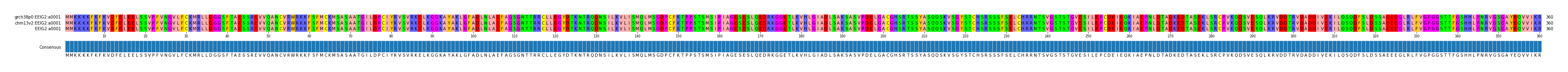 Multiple Alignments (by translate haplotype similarity)