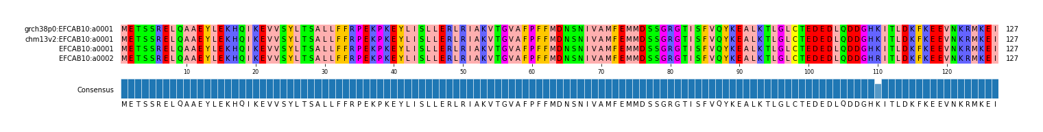 Multiple Alignments (by translate haplotype similarity)