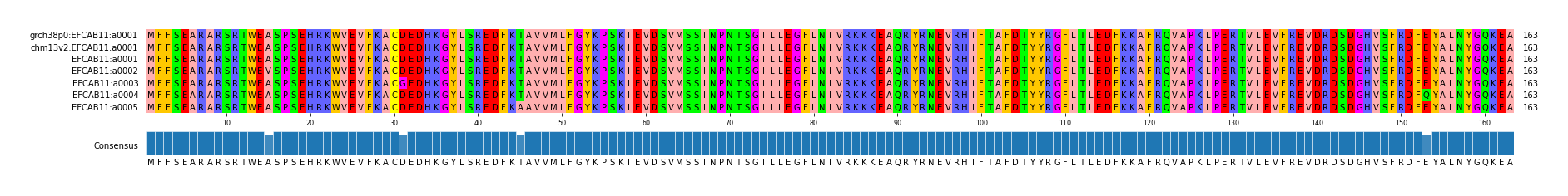 Multiple Alignments (by translate haplotype frequency)