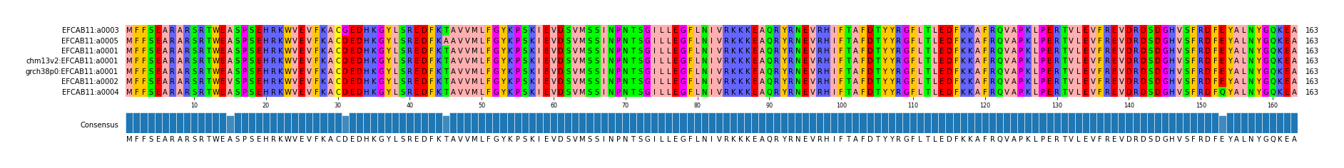 Multiple Alignments (by translate haplotype similarity)